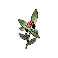 Jenniferwester Sticker