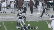 National Football League GIF by NFL