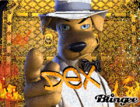 dex GIF