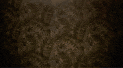 Plantbased GIF by MorningStar Farms