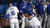 Major League Baseball Lol GIF by MLB