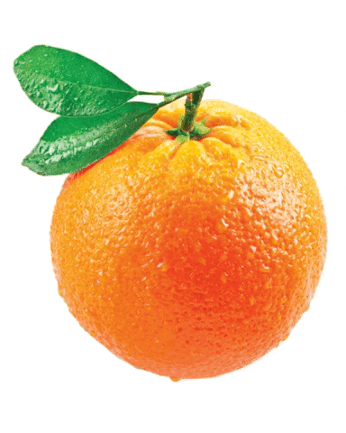 Orange Pun GIF by Yanga Sports Water