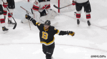Happy Ice Hockey GIF by NHL