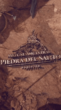 GIF by Mezcal Piedra del Santo
