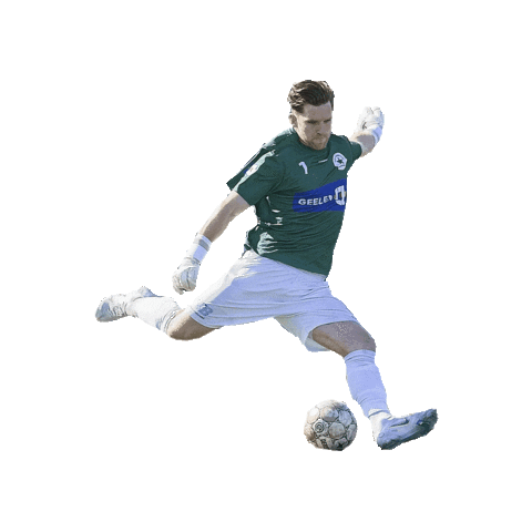 Sport Heerlen Sticker by Groene ster