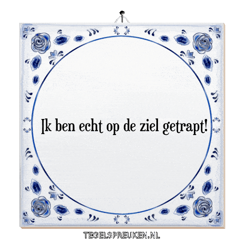 Nl Troost Sticker by Tegelspreuken.nl