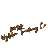 Wyldertradingco go wild boho style boho fashion wylder trading co Sticker