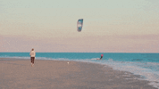 south carolina GIF