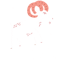 Hocus Pocus Aries Sticker by Pitahia