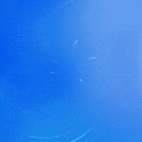 World Voice GIF by WeQuorum