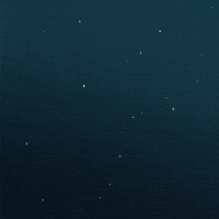 Shooting Star Flower GIF by Olivia Lunny