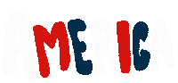 American Usa Sticker