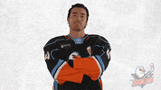 National Hockey League No GIF by San Diego Gulls