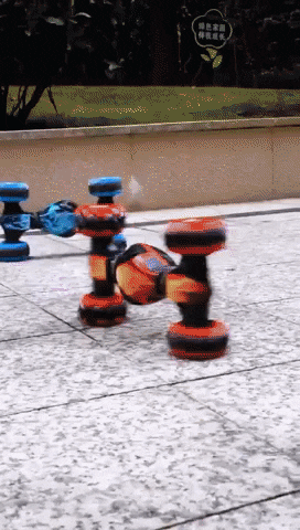 tmhong6811 giphygifmaker GIF