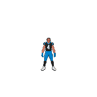 Keep Pounding Carolina Panthers Sticker by SportsManias