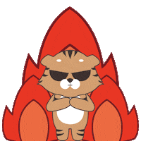 Fire No Sticker