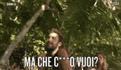 luca isola14 GIF by Isola dei Famosi