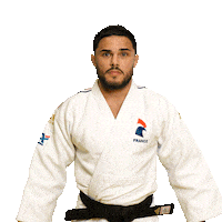 En Garde Judoka Sticker by France Judo