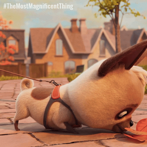 Dog Girl GIF by Treehouse Direct