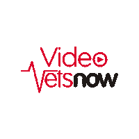 VetsNow  Sticker