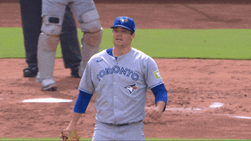 Celebrate Lets Go GIF by Toronto Blue Jays