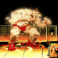 Street Fighter Loop GIF by PERFECTL00P