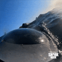 Monster Biting GIF by Shark Week