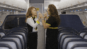 SpiritAirlines fly letsgo spirit spiritairlines GIF
