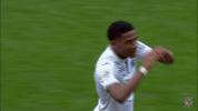 ligue 1 love GIF by Toulouse Football Club