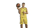 Liga Endesa Spin Sticker by ACB