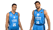 Liga Endesa Win Sticker by ACB