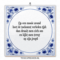 Humor Nl GIF by Tegelspreuken.nl