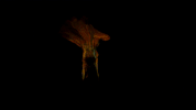 beyonce grammys GIF by CBS