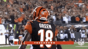 2018 Nfl Football GIF by NFL