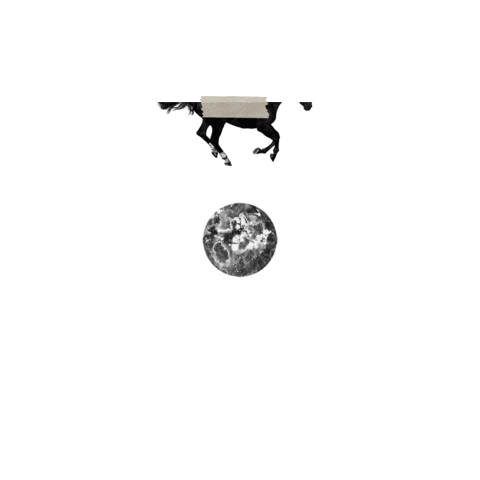 ainoawashere running moon horse dark Sticker