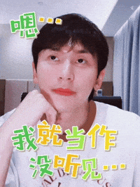 Zzh Not Listening GIF