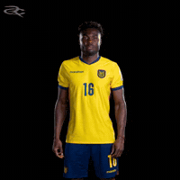 Fifa World Cup Ecuador GIF by Respective
