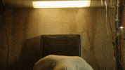 Wake Up Dr Roberts GIF by DREAM CORP LLC