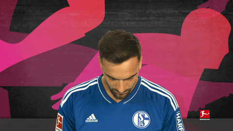 Schalke S04 GIF by Bundesliga
