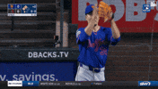 Celebration GIF by New York Mets