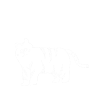 Cat Dog Sticker