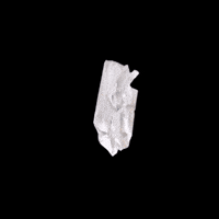 Founding Father Photo GIF