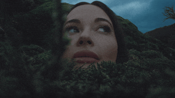 Country Music Smile GIF by Kacey Musgraves