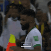 World Cup GIF