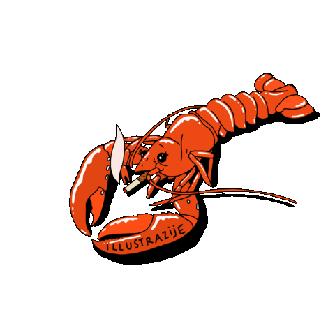 Illustrazije giphyupload illustration feminism illustrazije Sticker