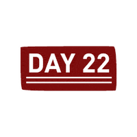 Countdown To Christmas Sticker by Essential Worship