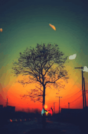 Amigos Ser Feliz GIF by Murcianys LLC
