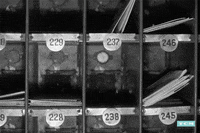 Black And White Christmas Movies GIF by Turner Classic Movies