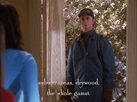 season 2 netflix GIF by Gilmore Girls 