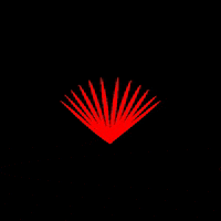 akshitachandra angry red rage anger GIF
